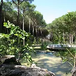 Dei Pini Hotel