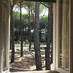 Hotel Dei Pini San Terenziano