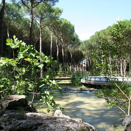 Dei Pini Hotel