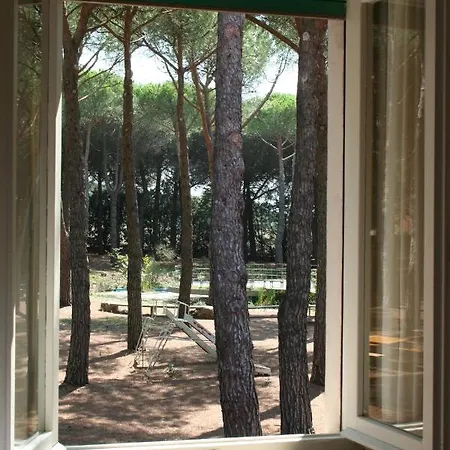 Hotel Dei Pini San Terenziano