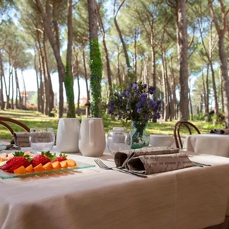 Dei Pini Hotel