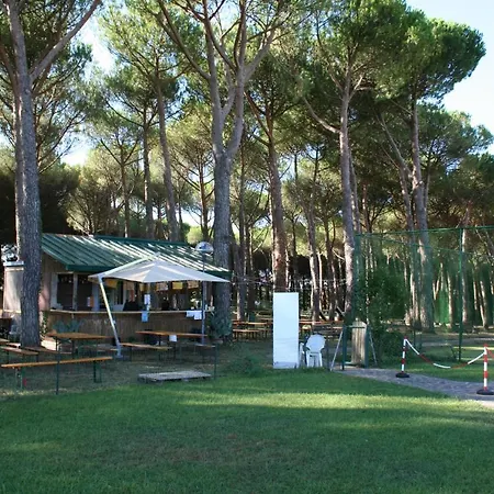 Dei Pini Hotel San Terenziano