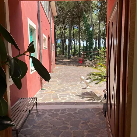 Dei Pini Otel San Terenziano