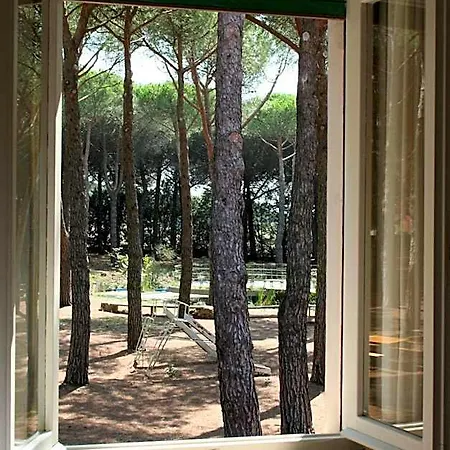 Dei Pini