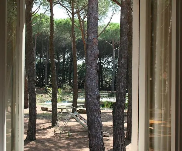 ホテル Dei Pini San Terenziano