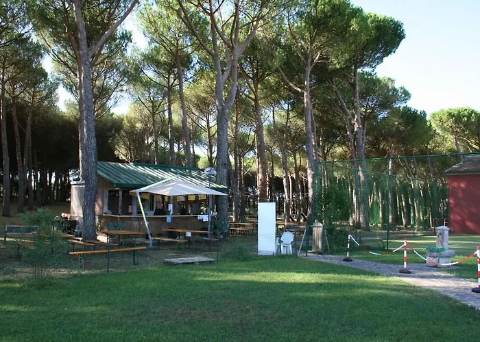 Dei Pini ホテル San Terenziano